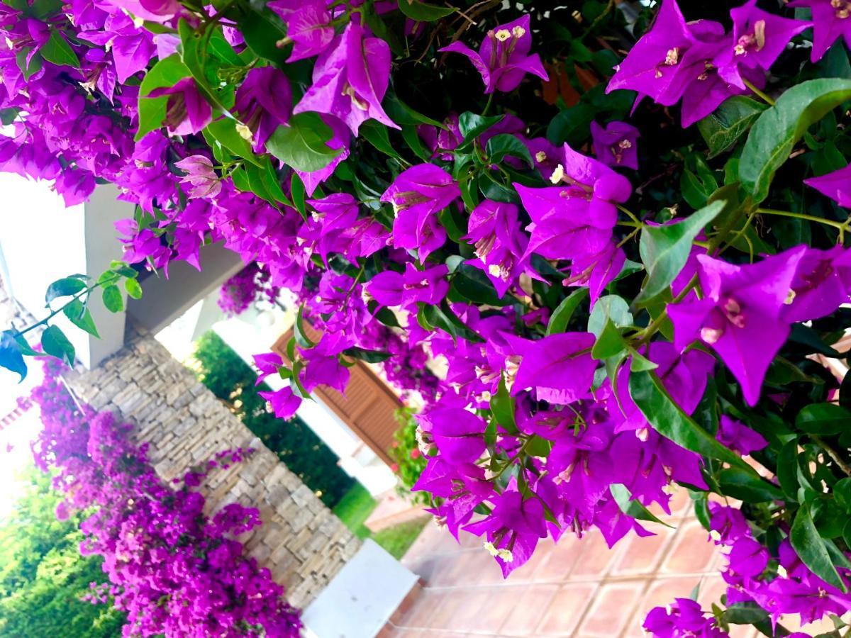 Breathtaking Sea View With A Peaceful Garden Appartement Bodrum
