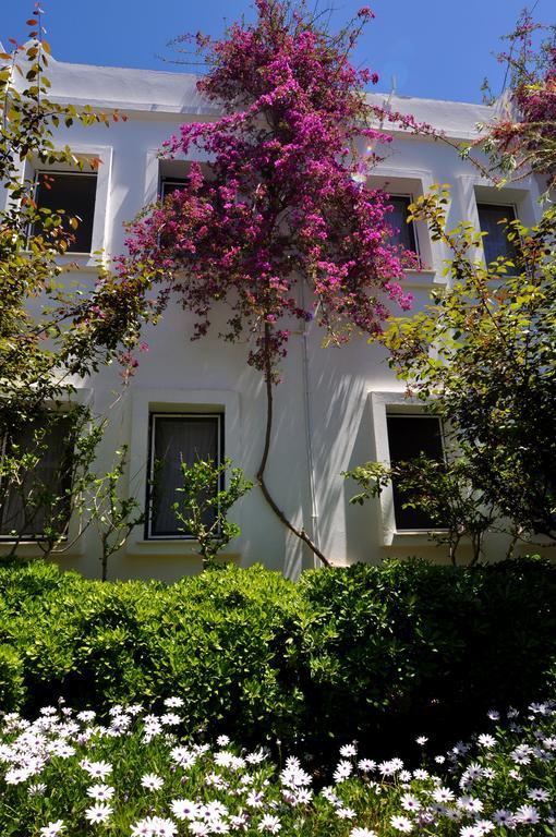 Atrium 3* Bodrum