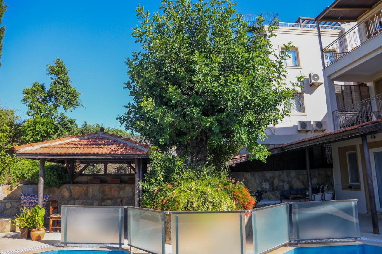 The Aegean Gate (adults Only) 4*
