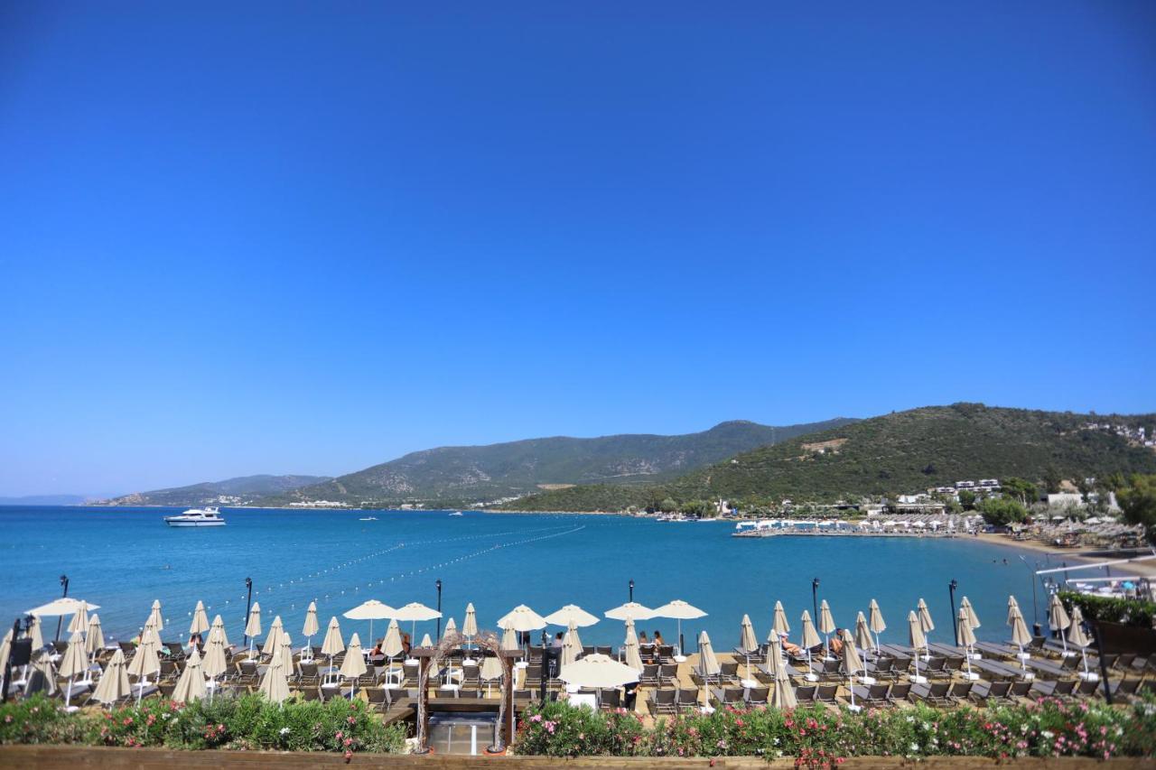 Hotel Trendlife Torba *