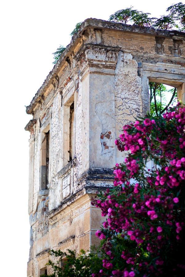 Kocadon Museum Hotel Bodrum