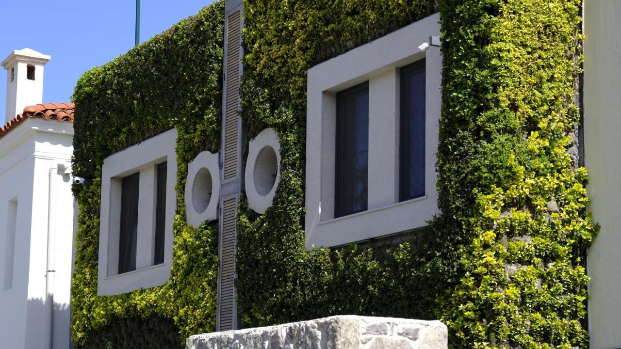 Kocadon Museum