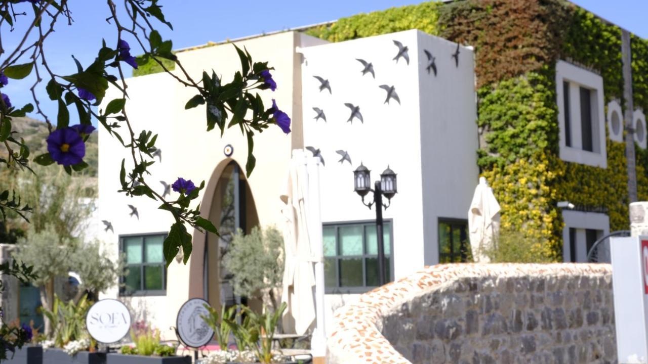 Kocadon Museum Bodrum