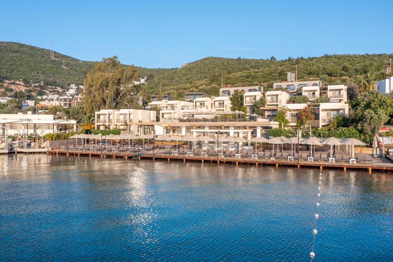 Hotel Trendlife Torba