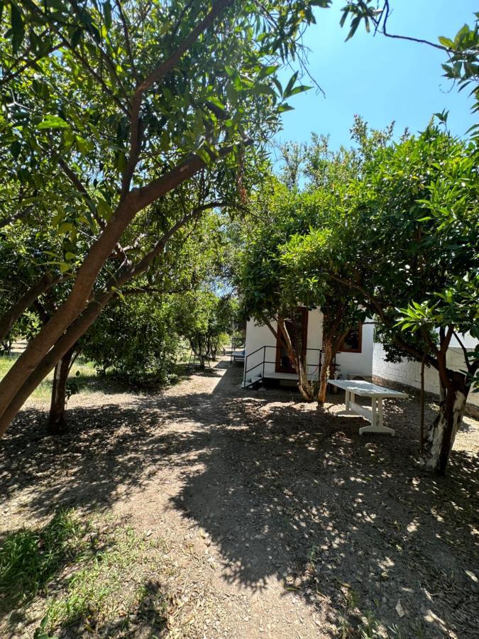 Incekum Pansiyon Bodrum