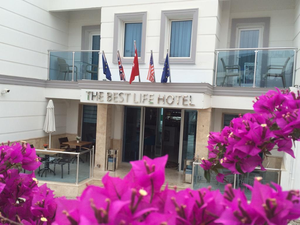 The Life Center Bodrum