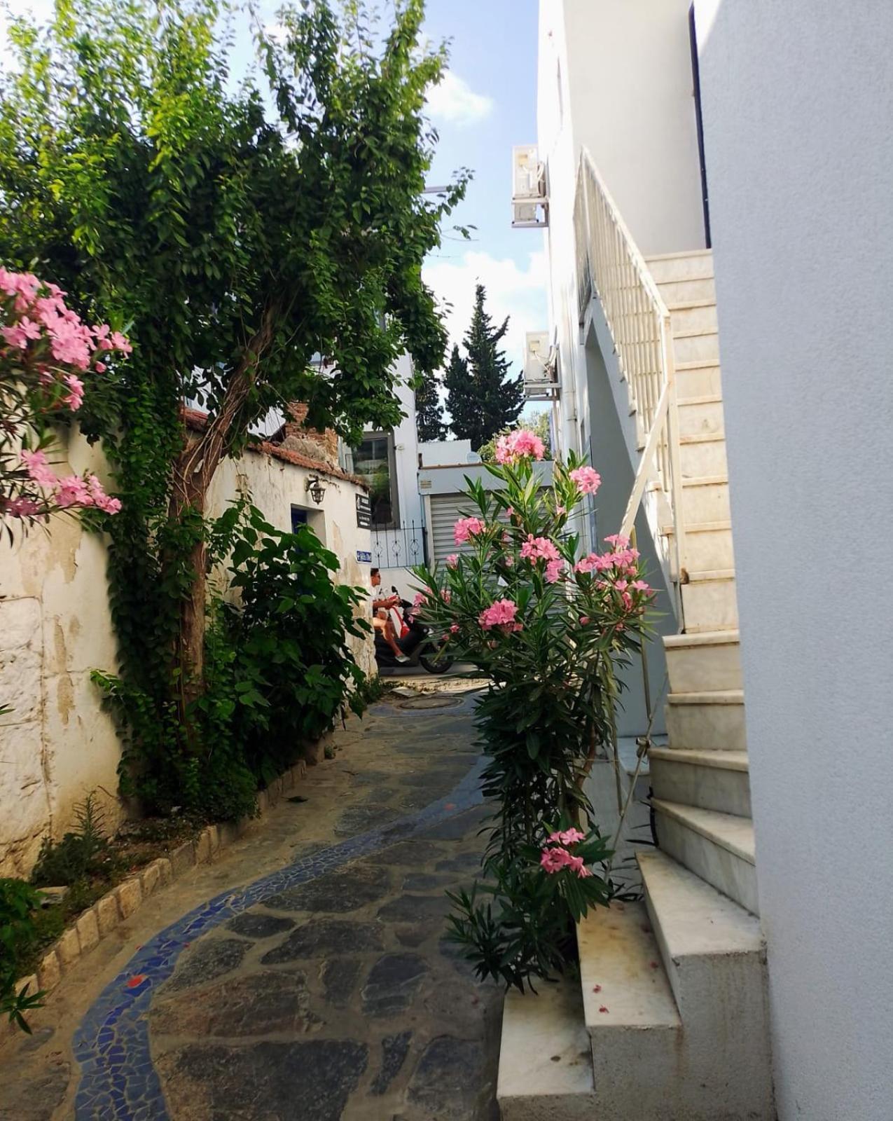 Kardelen Apart Hotel