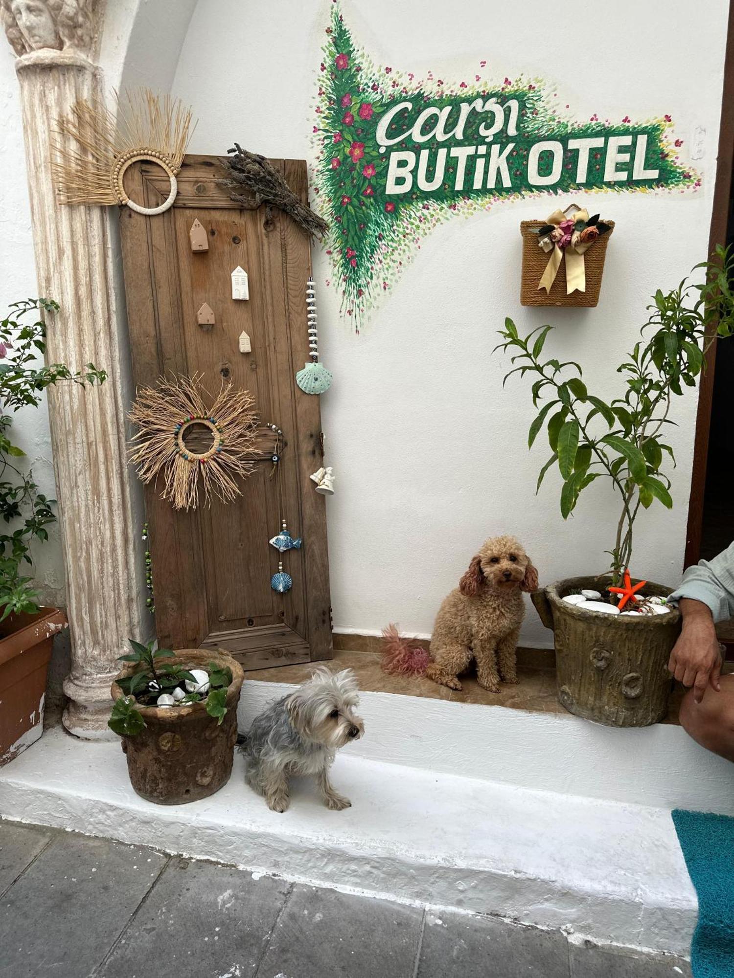 Carsi Butik Hotel *