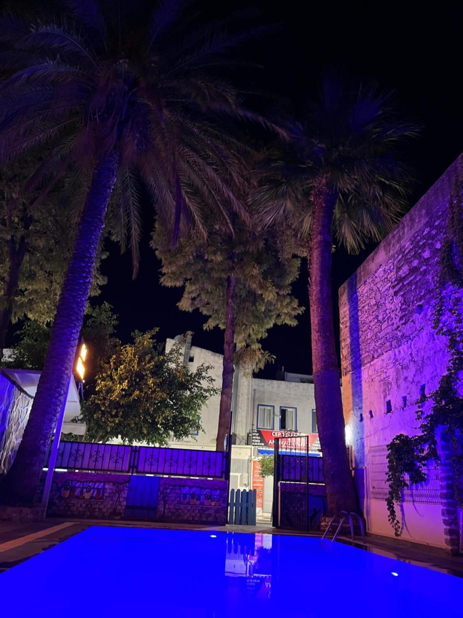Kilavuz * Bodrum