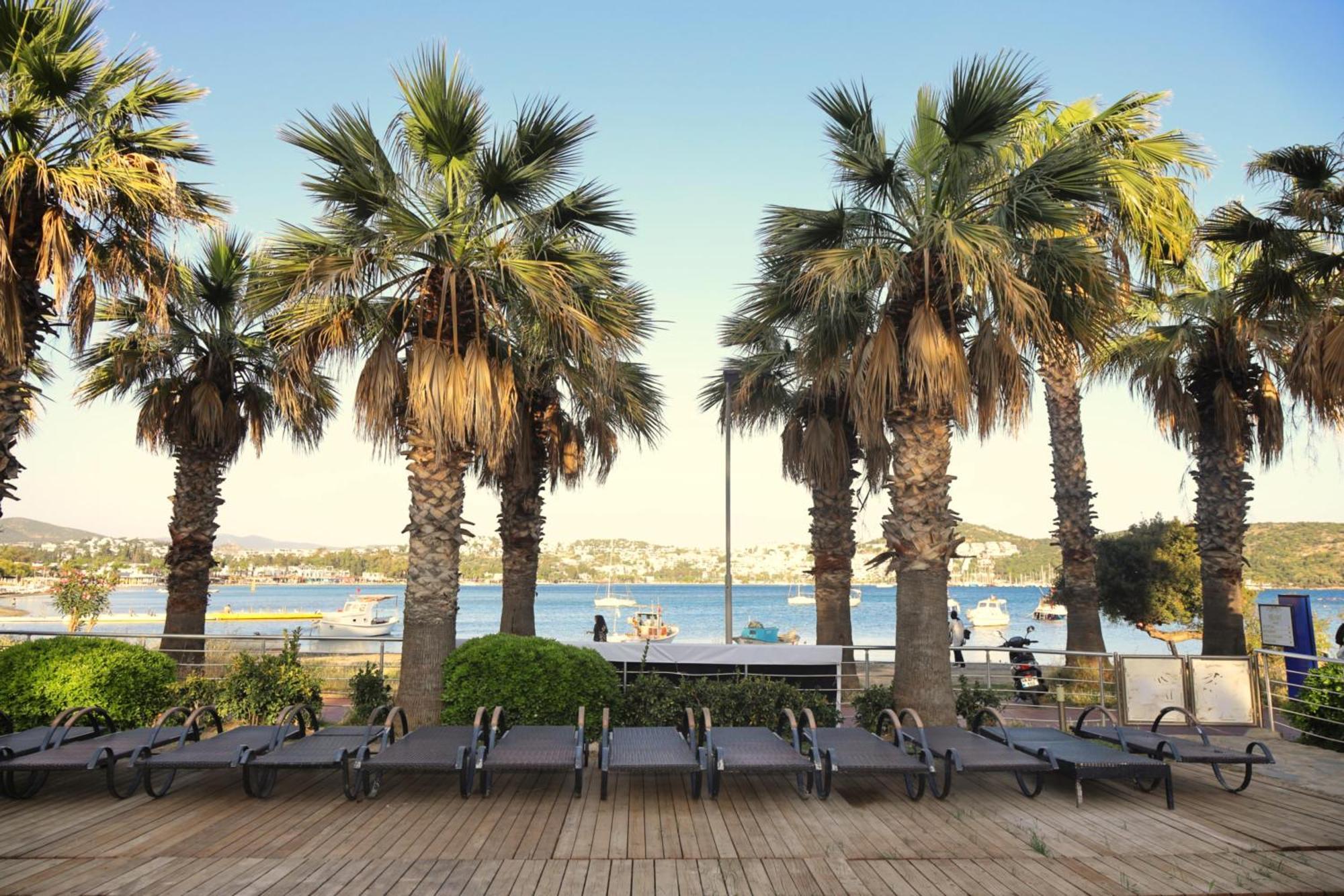 Amilla 4* Bodrum