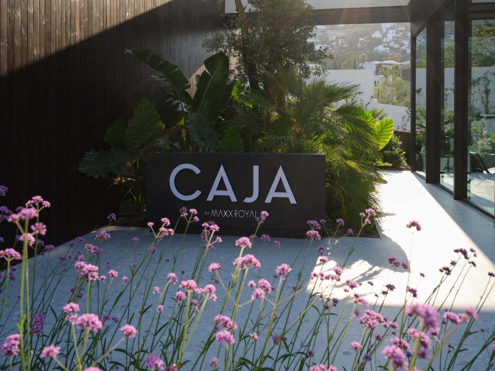 Caja By Maxx Royal