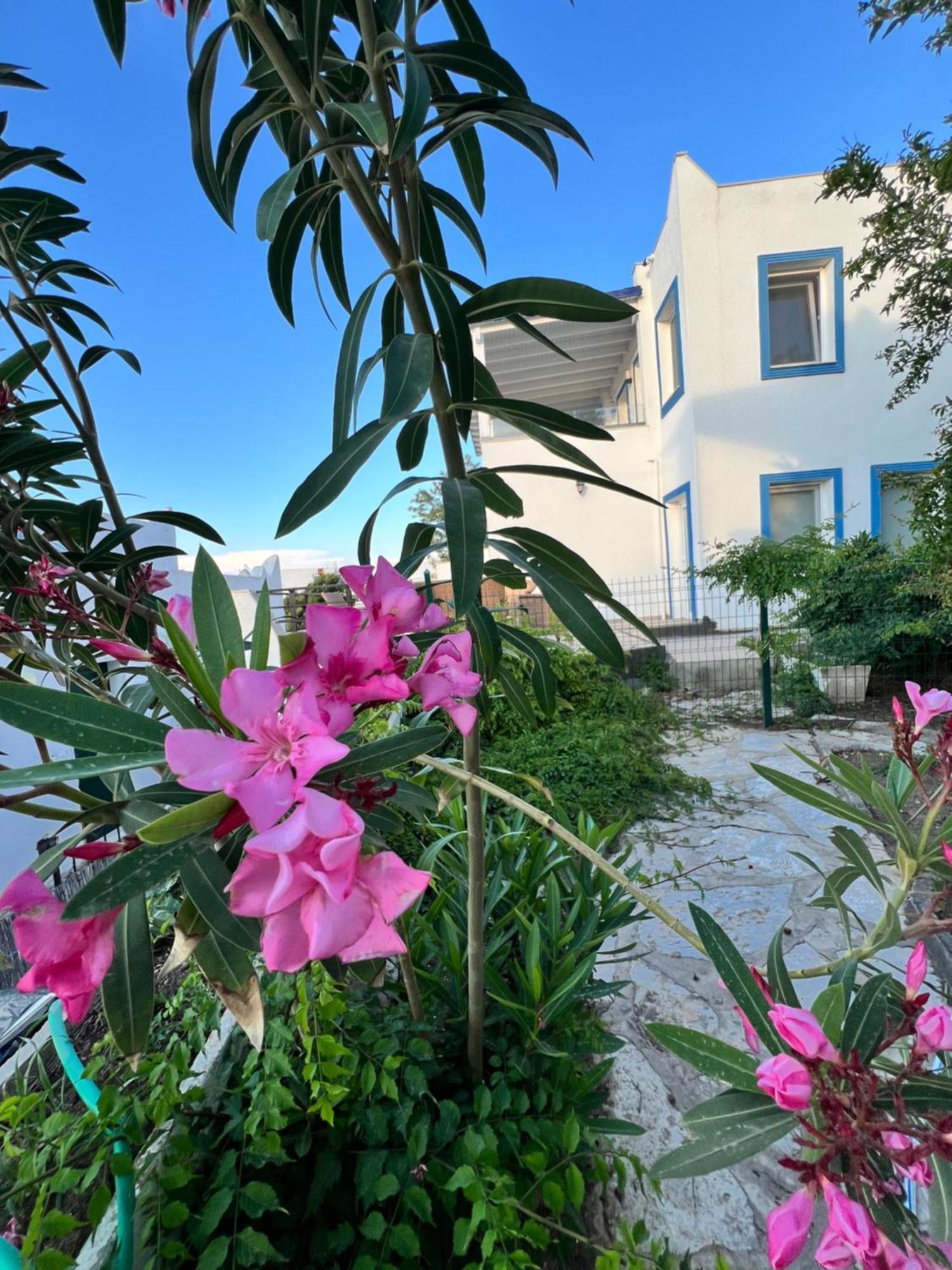 Vakantiehuis Casa D'eros - Yalikavak Marina Bodrum