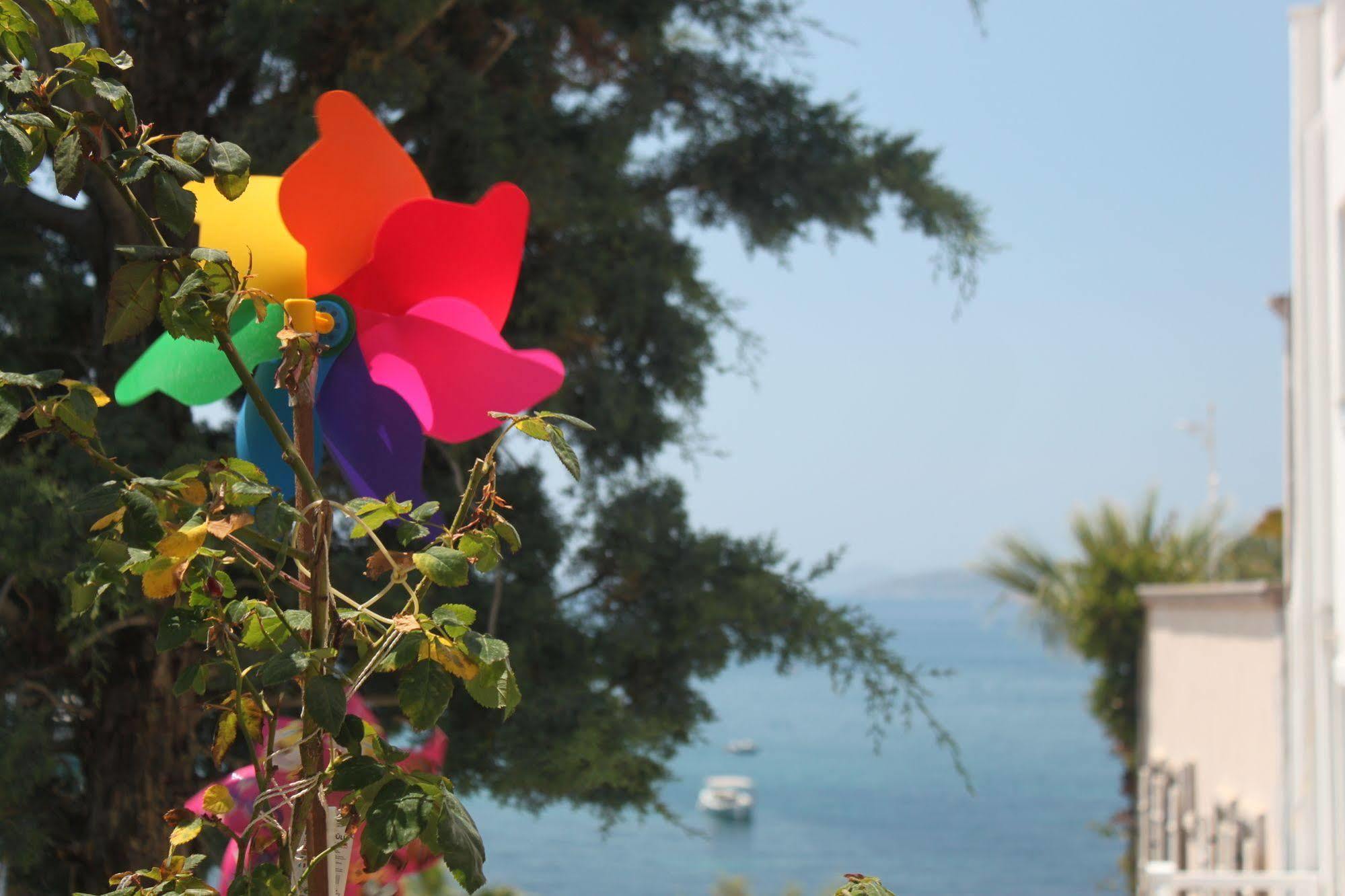 Bumerang Bodrum