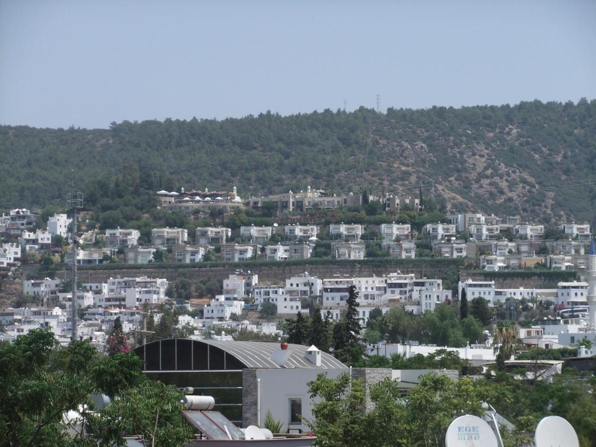 Mavi
