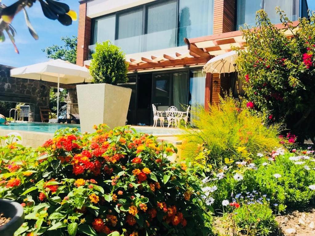 Acomodação com café da manhã  No 5 2*