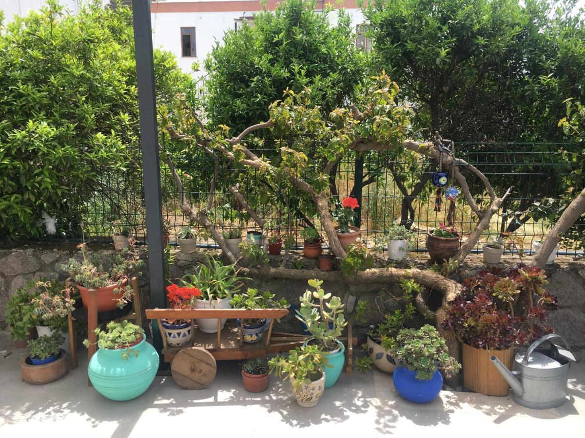Oliva Butik Otel Bodrum