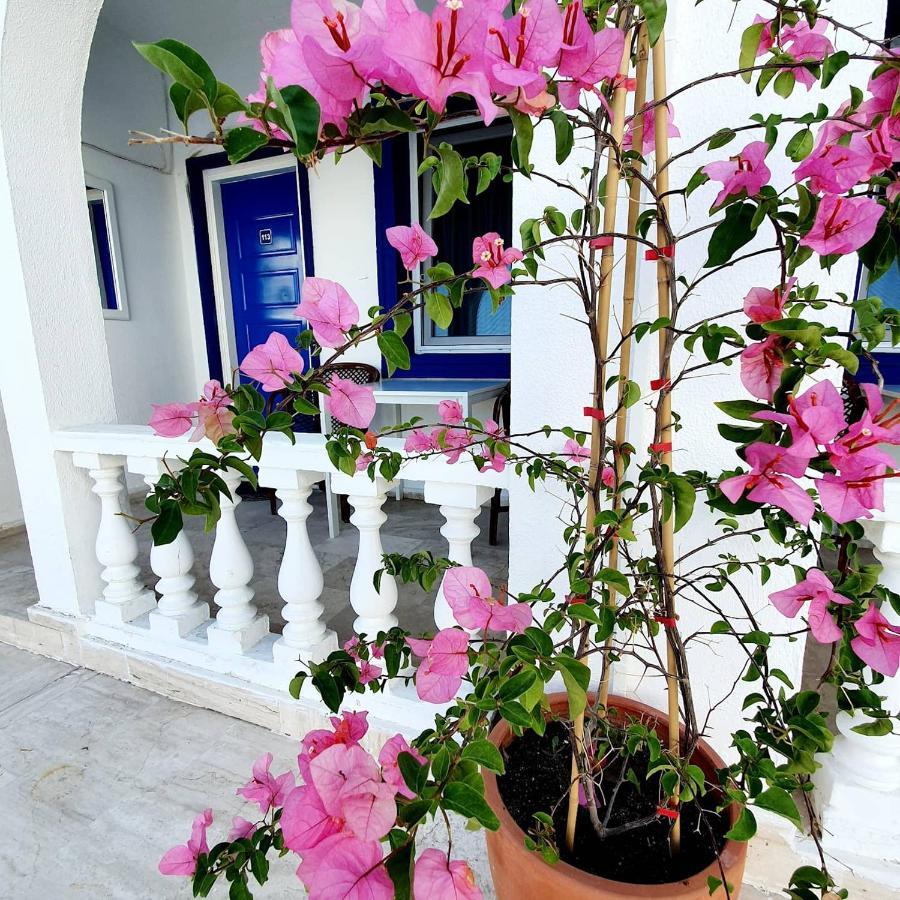 Dreams Bodrum Hotel Bed & Breakfast Bodrum