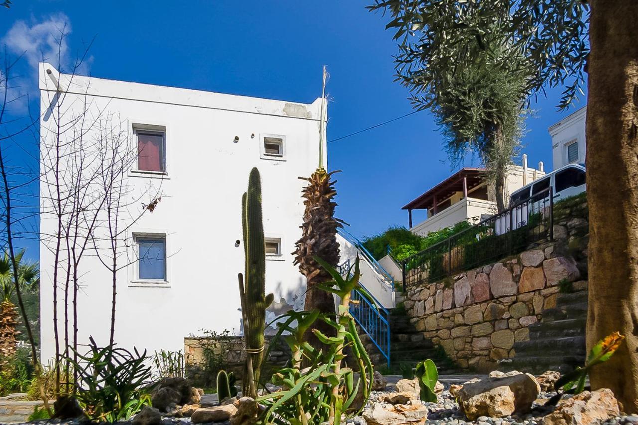 Dolphin Residences - Begonya 2 Daire