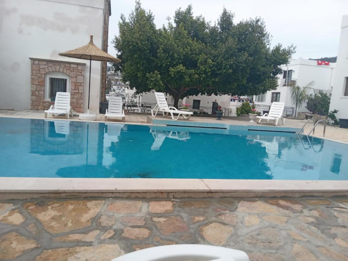 Dolphin Residences Jardin 2 Apartment *