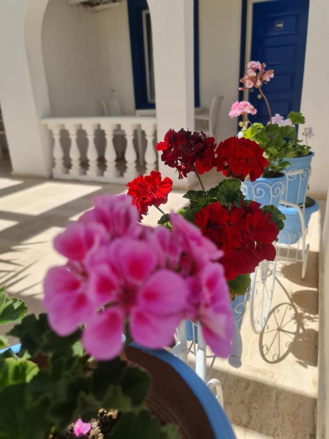 Bed & Breakfast Dreams Bodrum Hotel *
