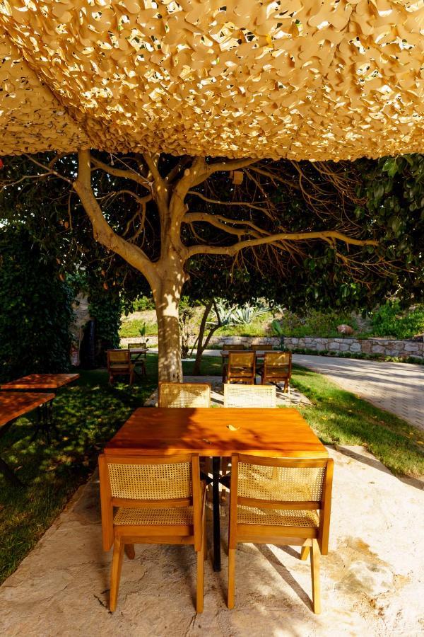 Bed & Breakfast Odette