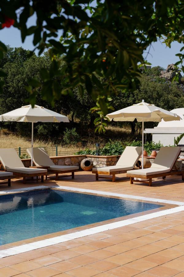 Odette Bed & Breakfast