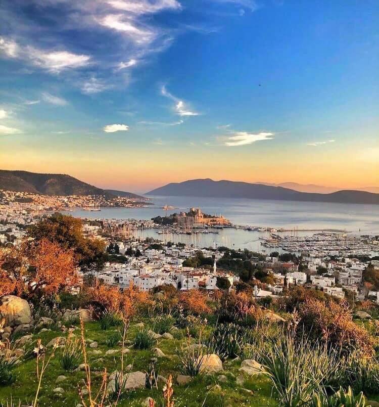 Merve Apartments, Your From In Bodrum, Street Cats Frequent The Property, Not Have Balconies , Ground Floor Have Terrace With Table And Chairs