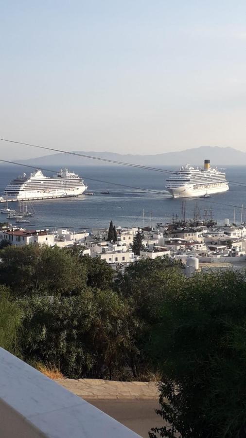 Mert Homes * Bodrum