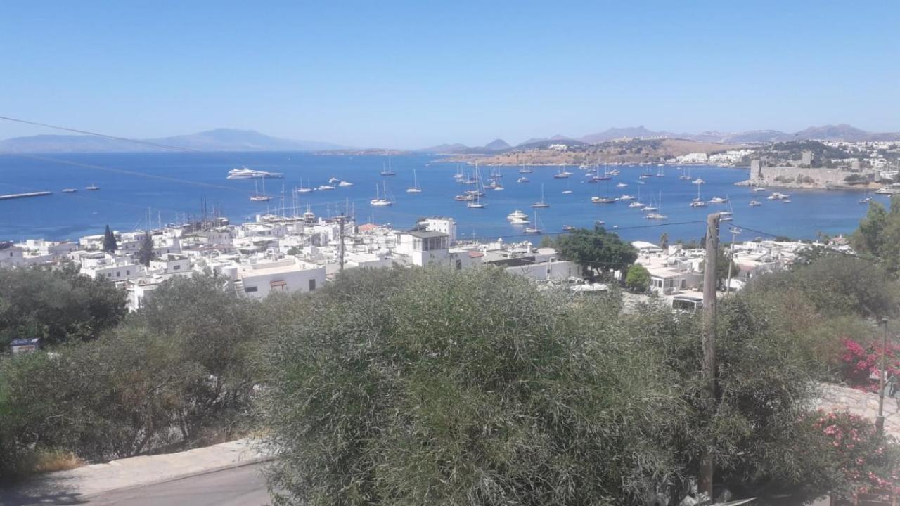 Mert Homes * Bodrum