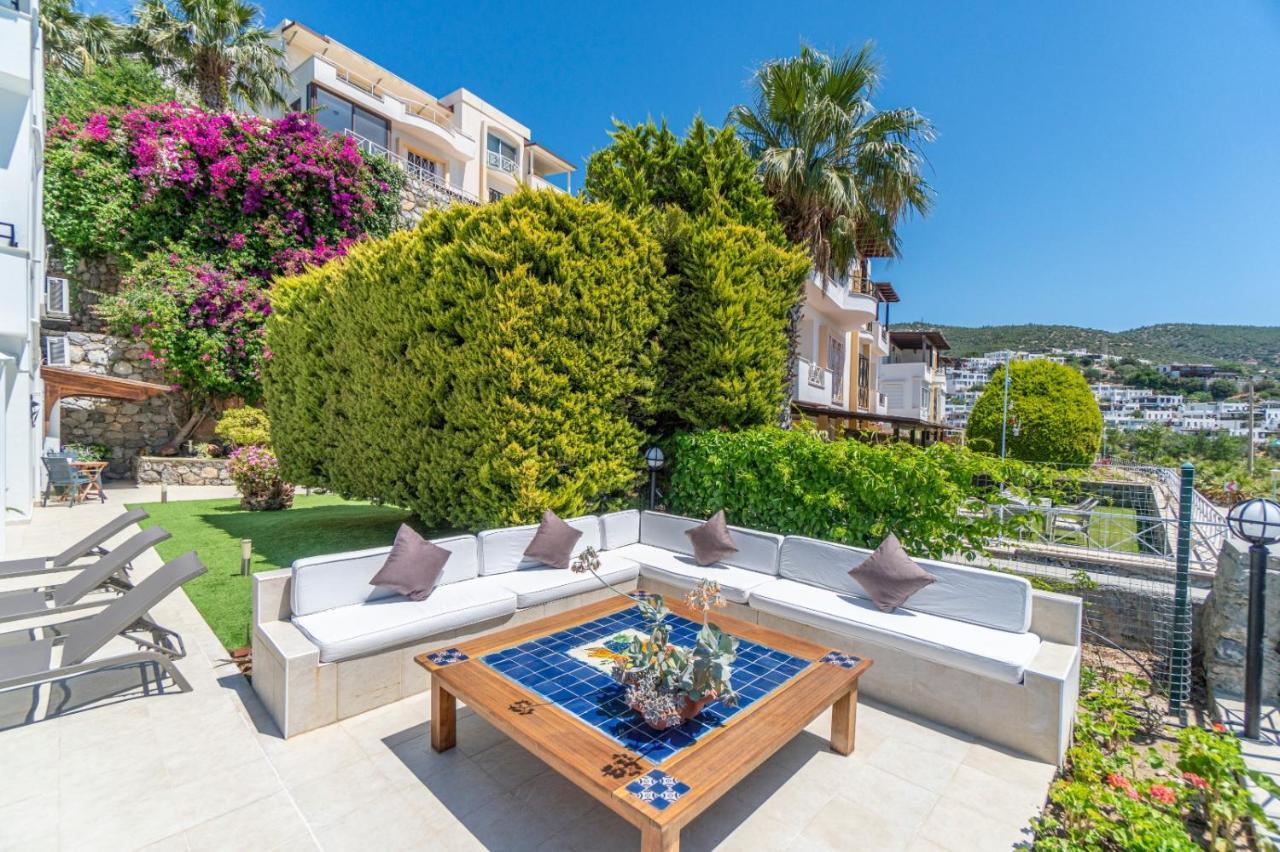 Premium - Amazing Seaviews