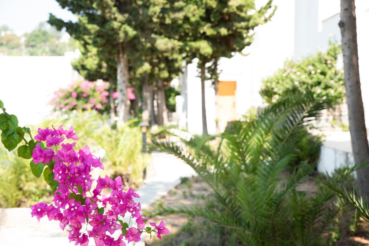 Hotel La Quinta By Wyndham 4*