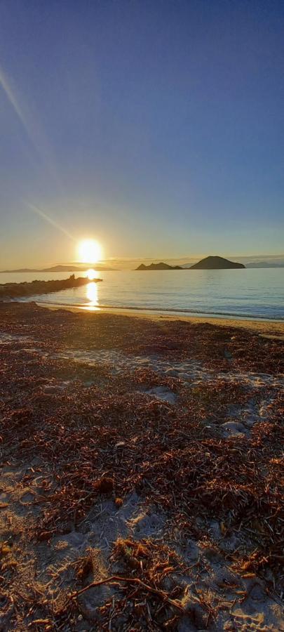 Daire Rahat Ev Bodrum