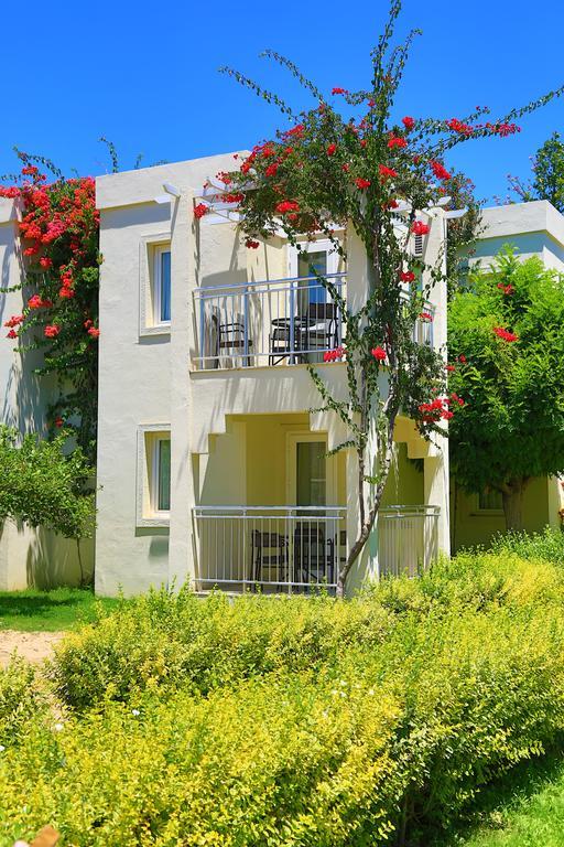 Mandarin & Bodrum