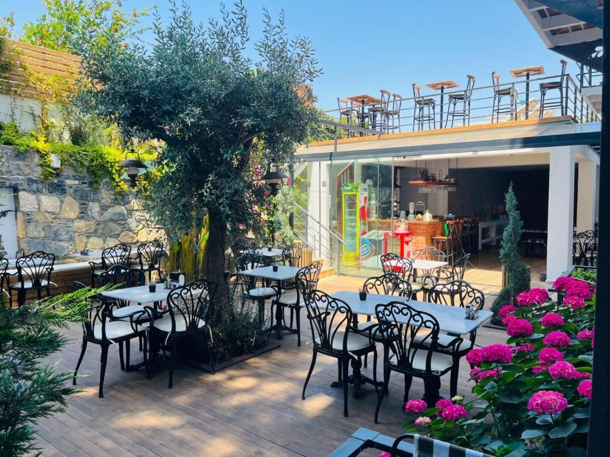 Olivia Bodrum
