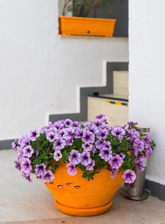 7 Art Feslegen By Egeos Hotel 3*