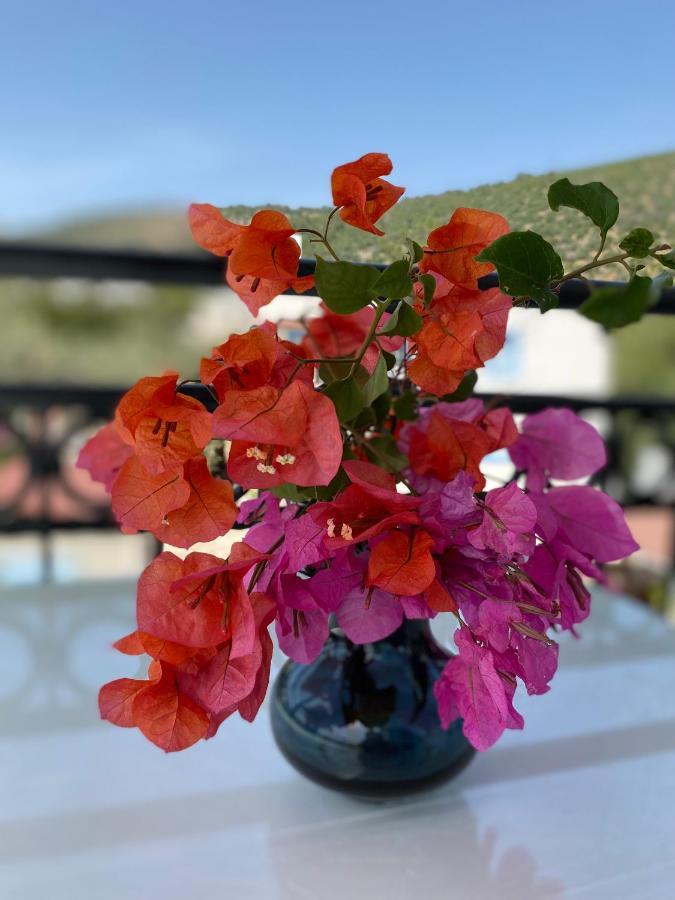 Aparthotel Merve Apartments, Your From In Bodrum, Street Cats Frequent The Property, Not Have Balconies , Ground Floor Have Terrace With Table And Chairs