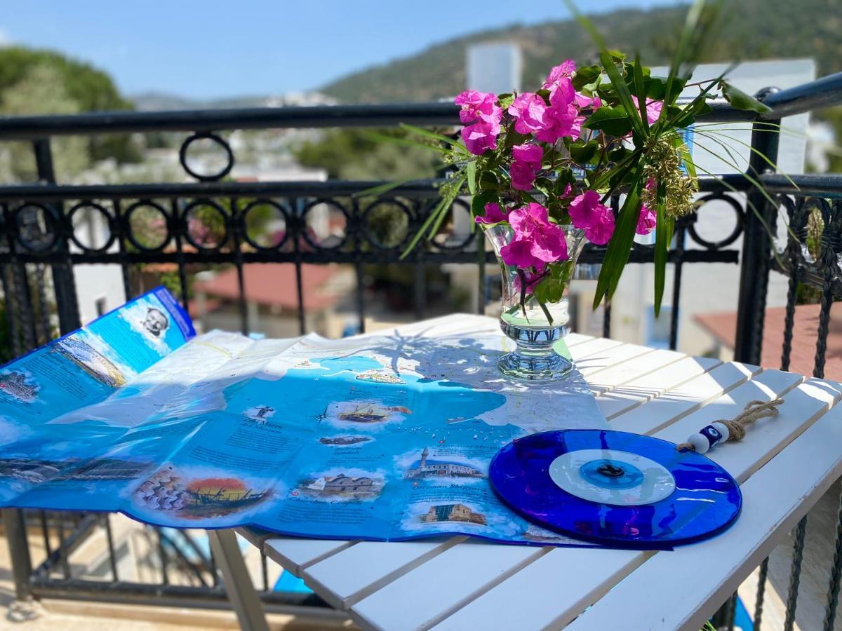 Merve Apartments, Your From In Bodrum, Street Cats Frequent The Property, Not Have Balconies , Ground Floor Have Terrace With Table And Chairs Aparthotel Bodrum
