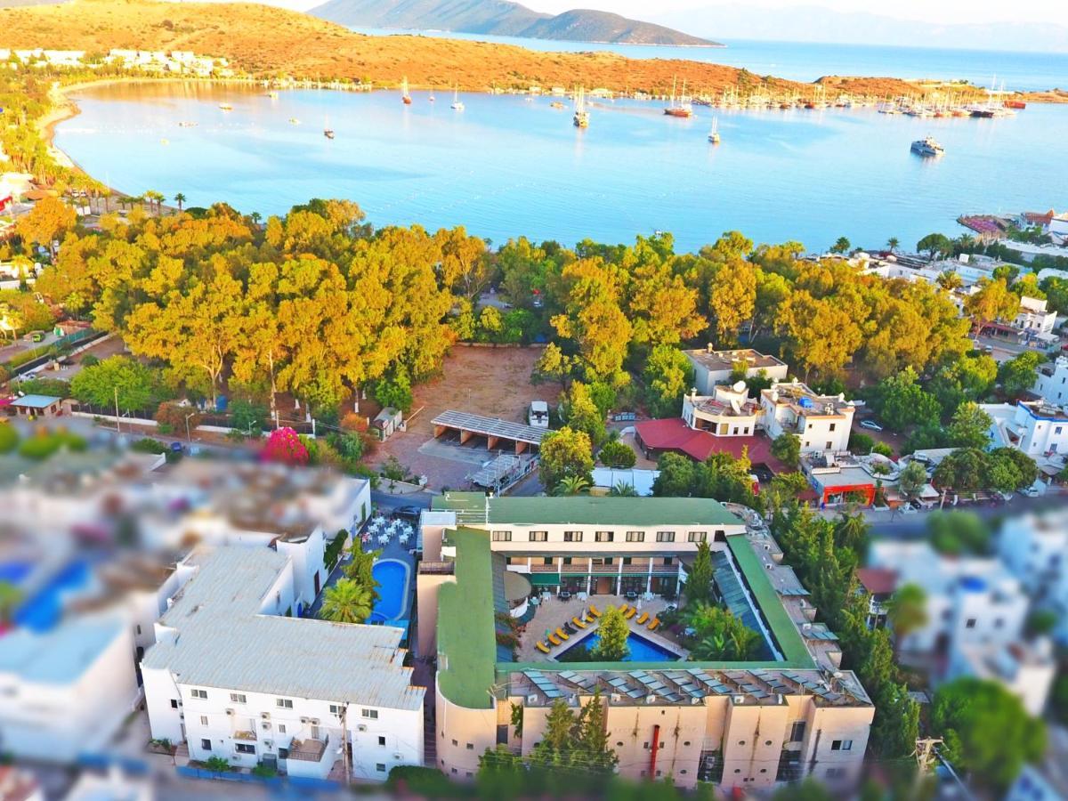Bleu Nuit Hotel *