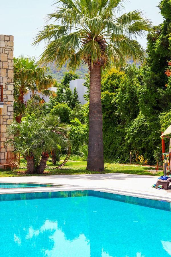 Moyo Luxury & Hotel 3*