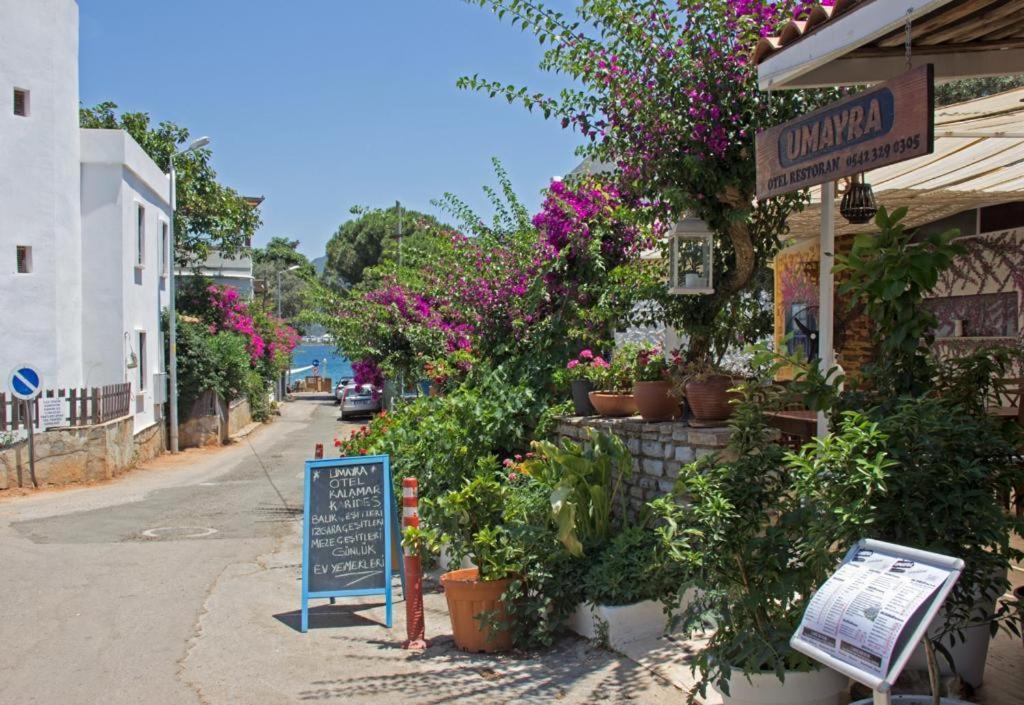 Umayra Bodrum