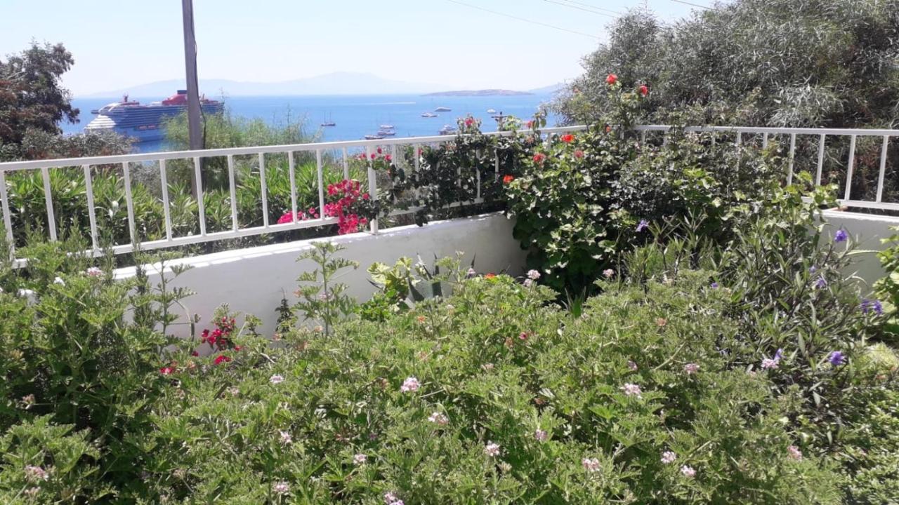Mert Homes Apartment Bodrum