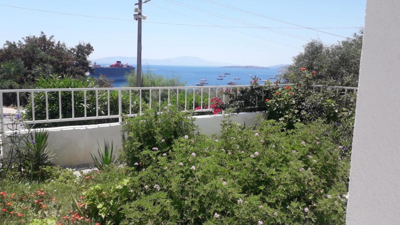 Mert Homes Bodrum