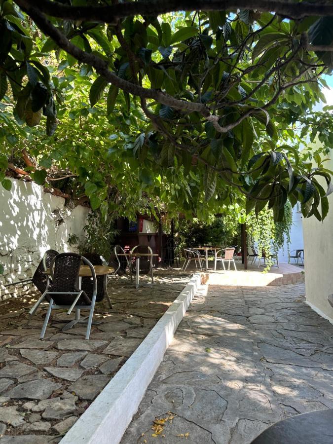 Gasthof New Sedan Pansiyon Bodrum