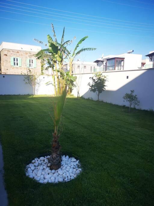 300m To 2 Bedroom Upstairs Flat With Pool - Yeni Duenya B2 Daire Bodrum