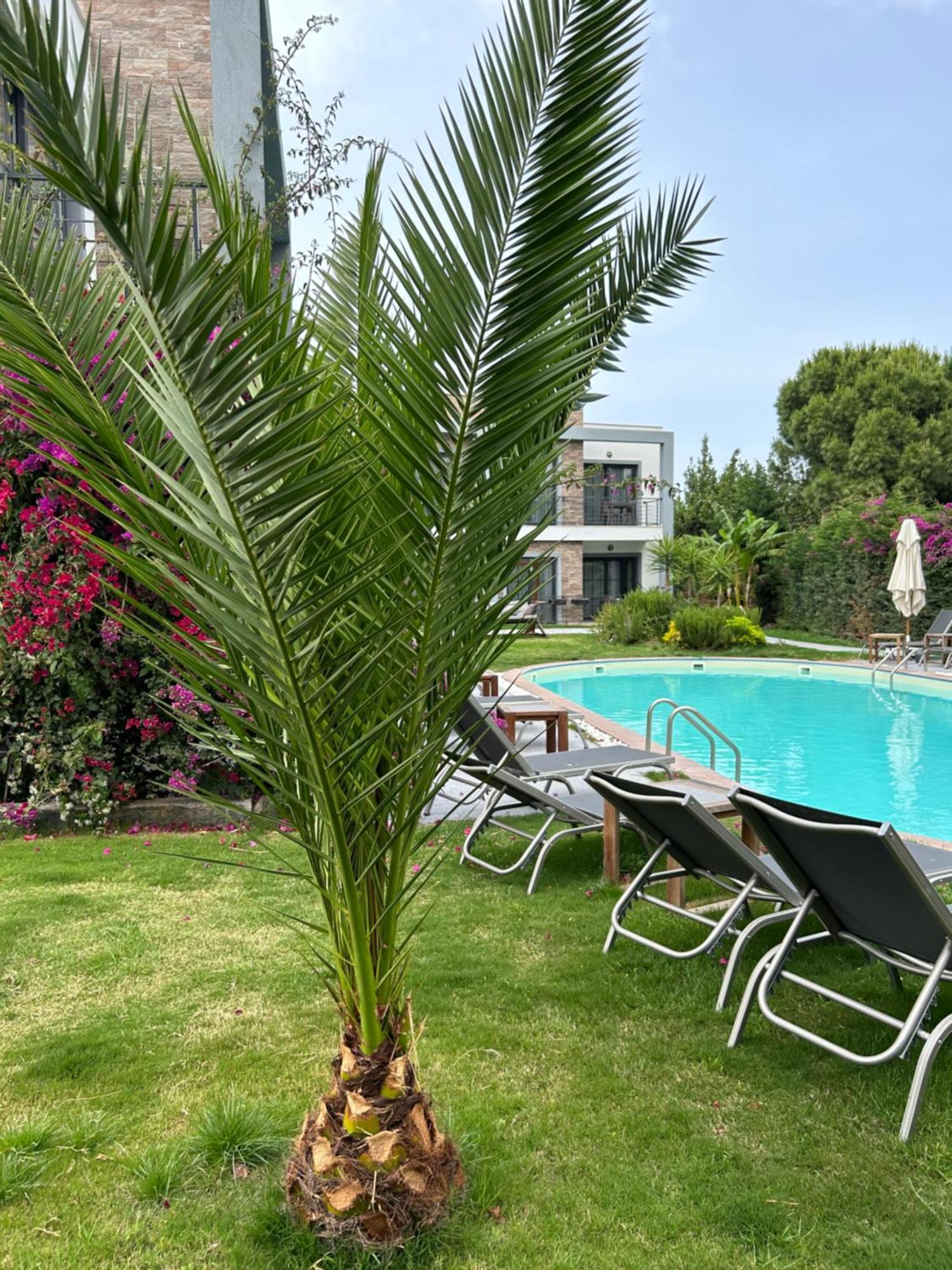 Malta 4* Bodrum