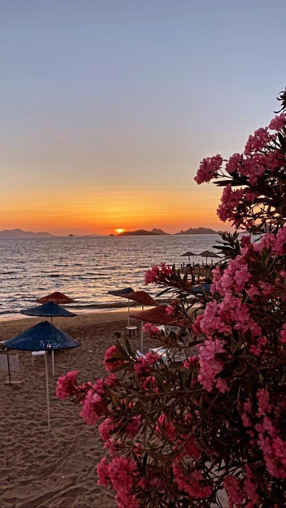 Sea,quality Sunset! 1 Apartamento *