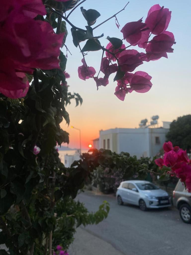 Sea,quality Sunset! 1 Apartamento