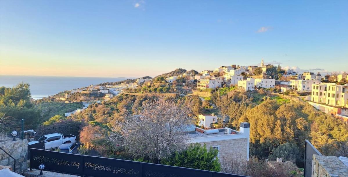 Villa Oezel Havuzlu Tas *