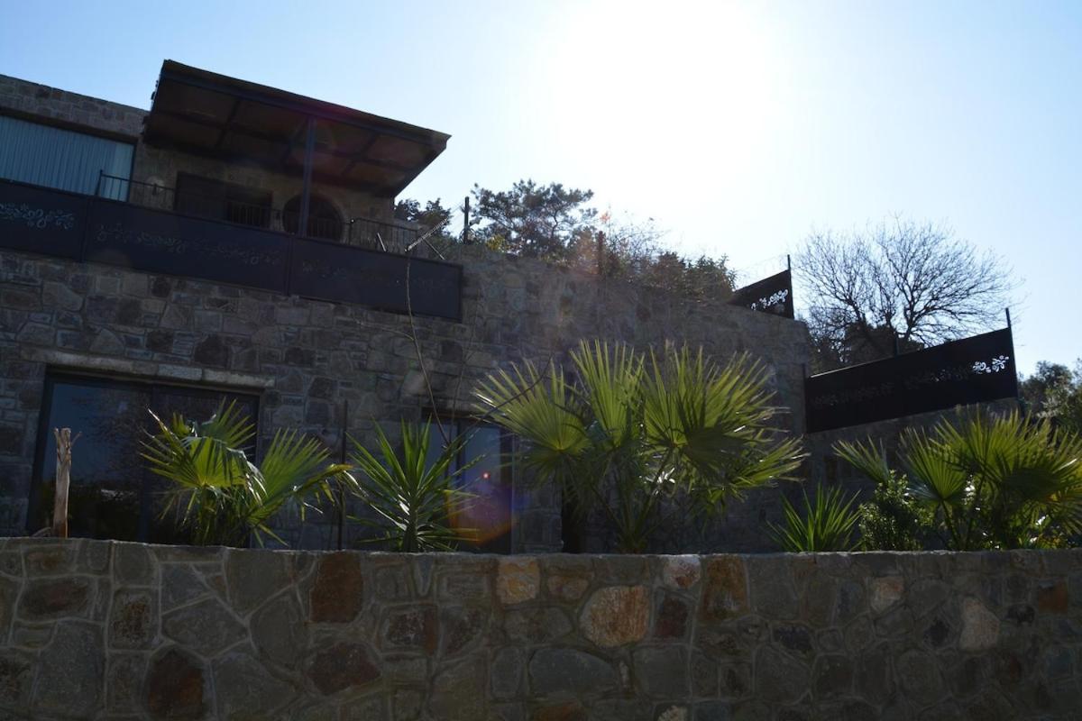 Oezel Havuzlu Tas Villa Bodrum