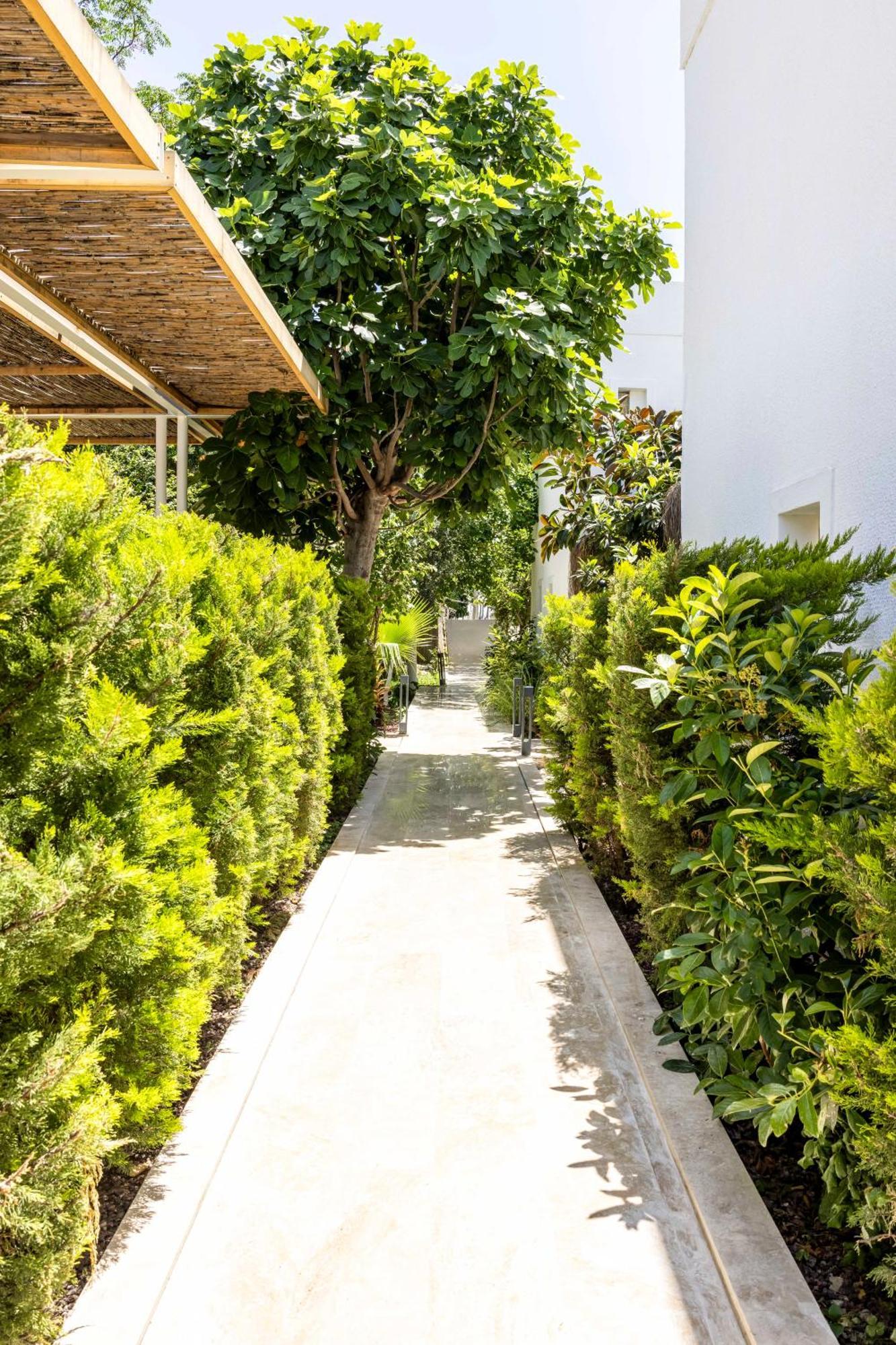 Hotel Costa Maya 3*